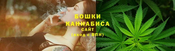 винт Белокуриха