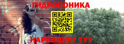 сатива Рязань