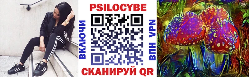 Галлюциногенные грибы мухоморы  цены   hydra рабочий сайт  Саяногорск 